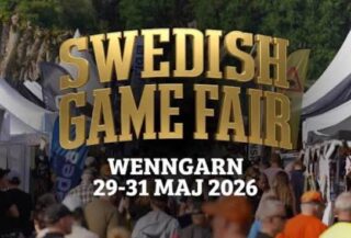 Vi kommer till game fair i helgen! ☀️

Vi kommer att stå på plats H:03.

Välkomna fram och snacka lite hund och eftersök , det kommer finnas lite hundar i montern också att hälsa på under helgen 🐾😍☘️