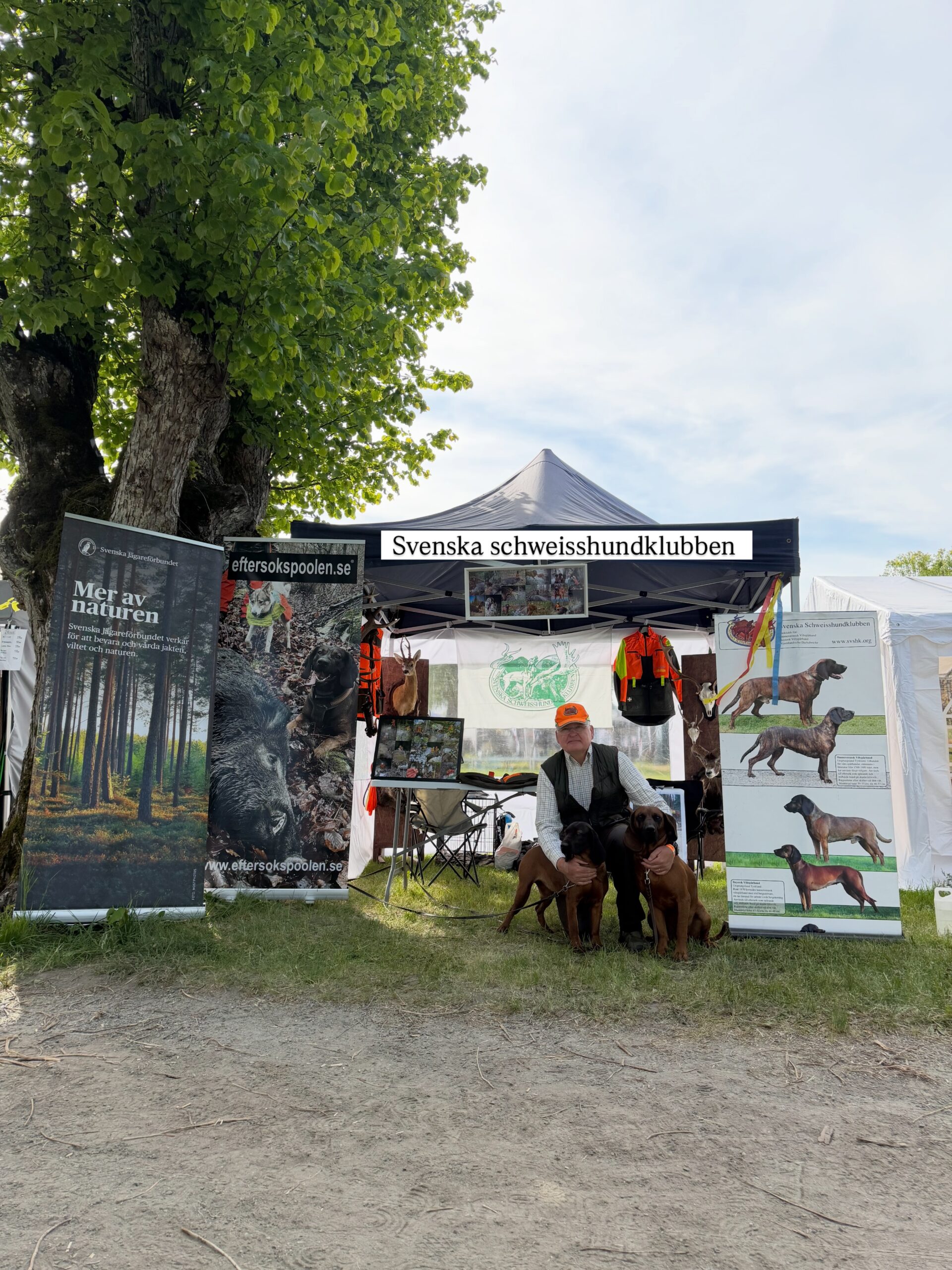 Idag står vi på mässan igen!
Idag står Anders och Jenny i montern med Harbackens Karl , Harbackens Colt och Alfa Parnicka Magura 🙌

Kom gärna förbi och säg hej!👋 
Öppet 09.00-17.00