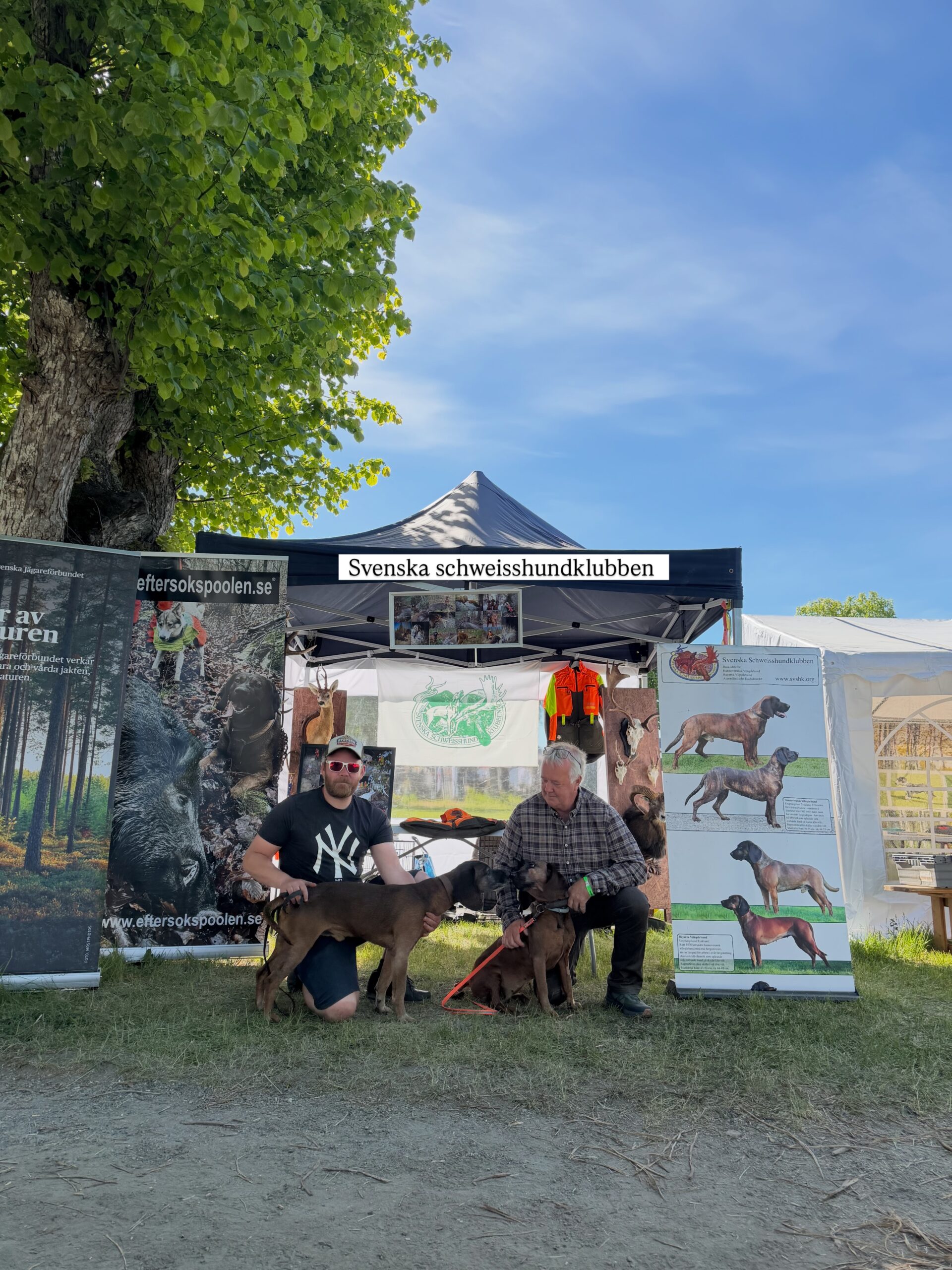 Idag står Isac och Janne i montern med hundarna Ginnie , Jacko och Levi 🐕
Kom gärna fram och prata och säg hej! 👋 

Idag har mässan öppet ifrån 09.00-15.00